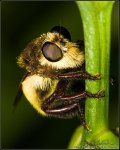 DigitalScape Photography Images